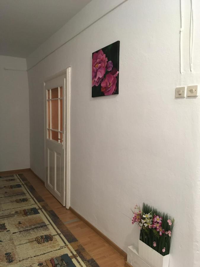 House Centrul Istoric Ll Apartment Sibiu Exterior photo